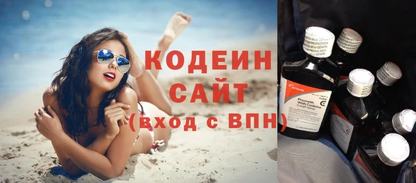 амф Гусев