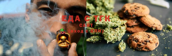 амф Гусев