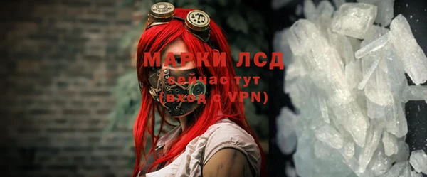 амф Гусев