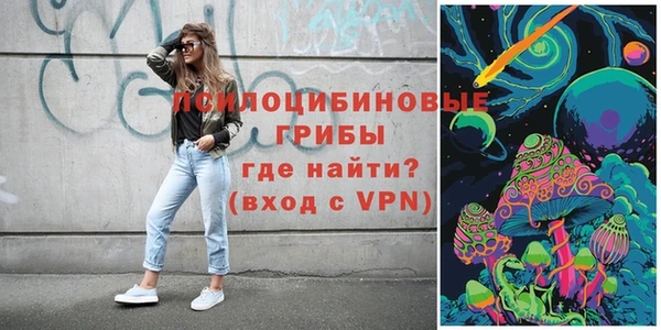 амф Гусев