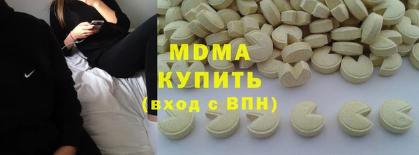 амф Гусев