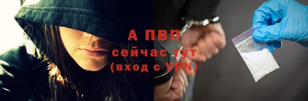 амф Гусев