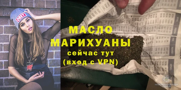 эйфоретик Гусь-Хрустальный