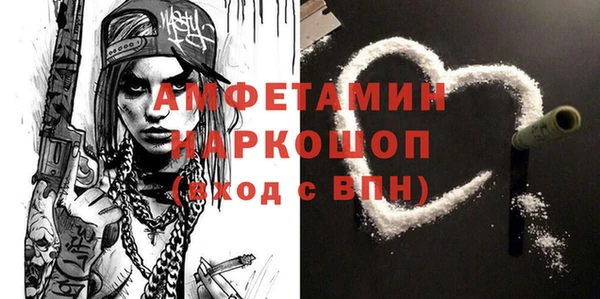 эйфоретик Гусь-Хрустальный