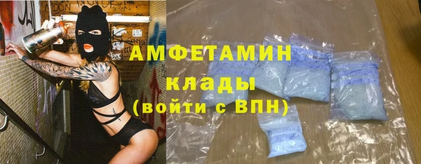 эйфоретик Гусь-Хрустальный
