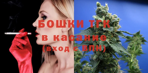 эйфоретик Гусь-Хрустальный