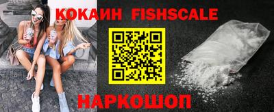 гашик Камышлов