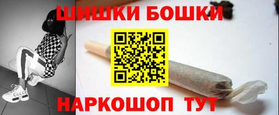 гашик Камышлов