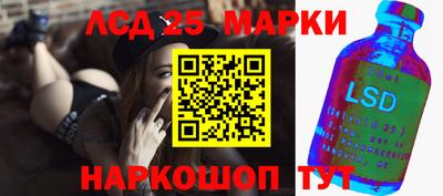 гашик Камышлов