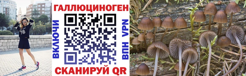 Псилоцибиновые грибы GOLDEN TEACHER Коммунар