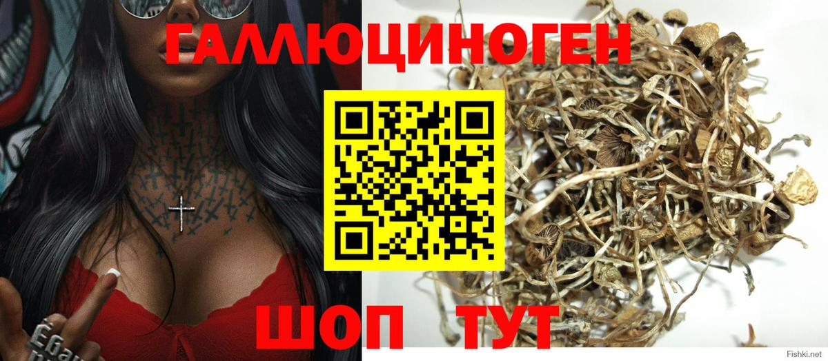 Псилоцибиновые грибы MAGIC MUSHROOMS Коммунар