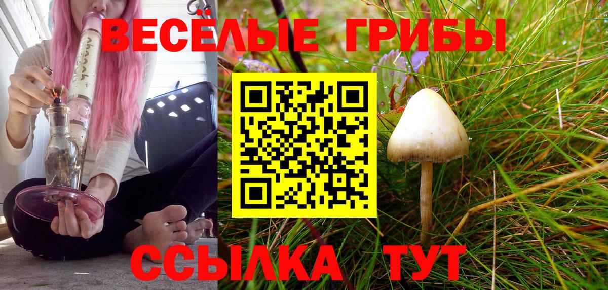Коммунар  цены   Вход с VPN  Псилоцибиновые грибы ЛСД 